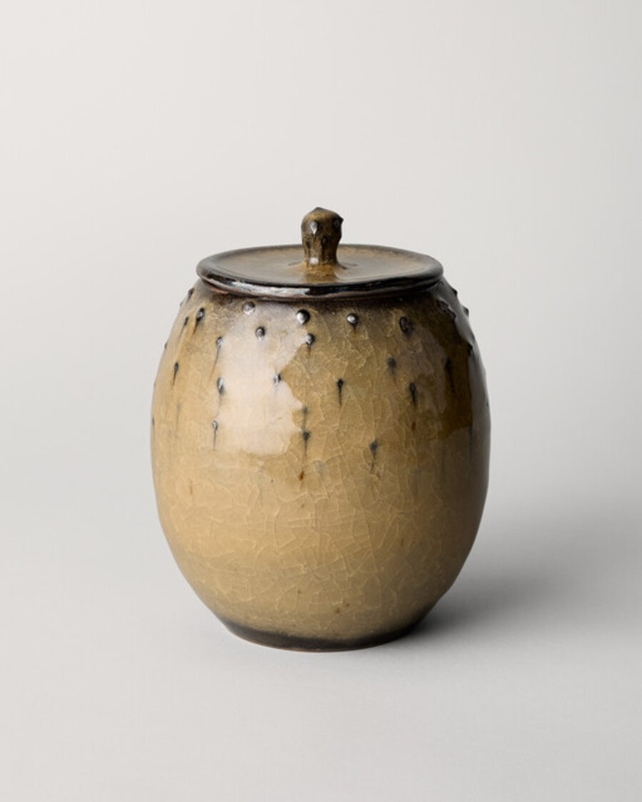 Yellow Horai Celadon Raised-Dot Water Jar