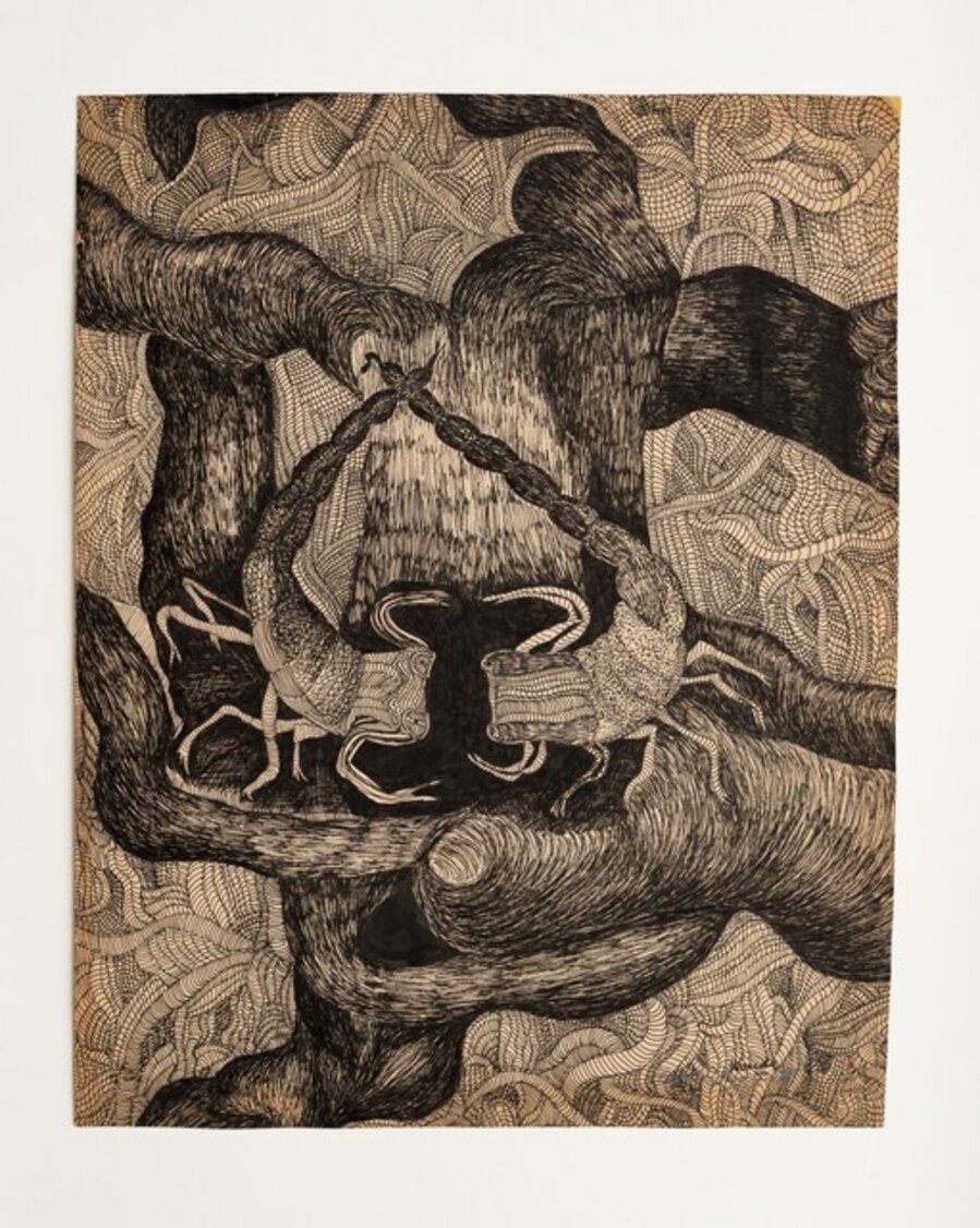 Untitled (from the Black and White Animals series)