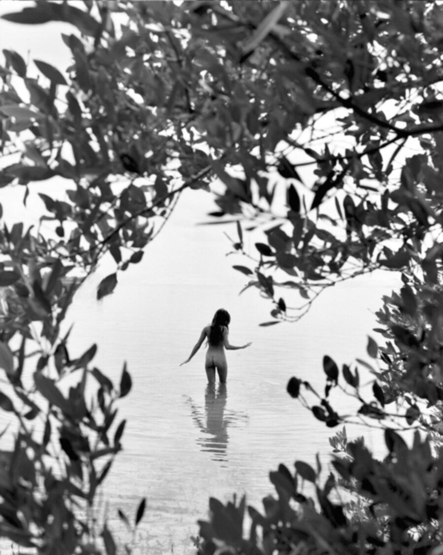 Mermaid 162, Aripeka
