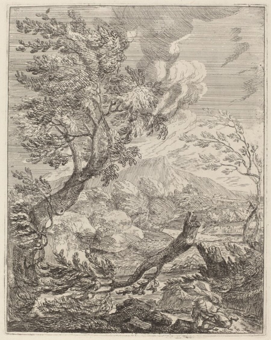The Withered Tree
