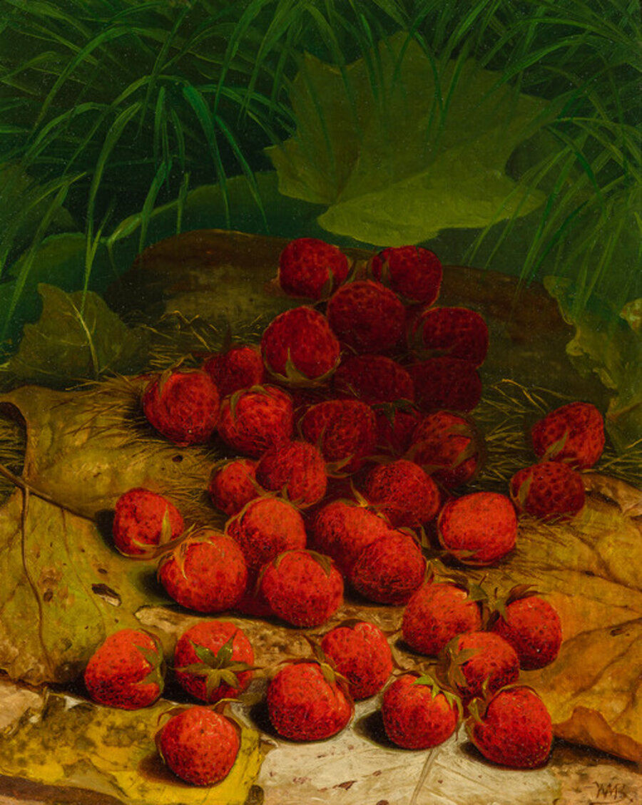 Strawberries Strewn on a Forest Floor