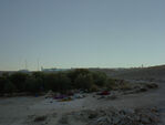 Daybreak (on an olive farm/Negev Desert/Israel)