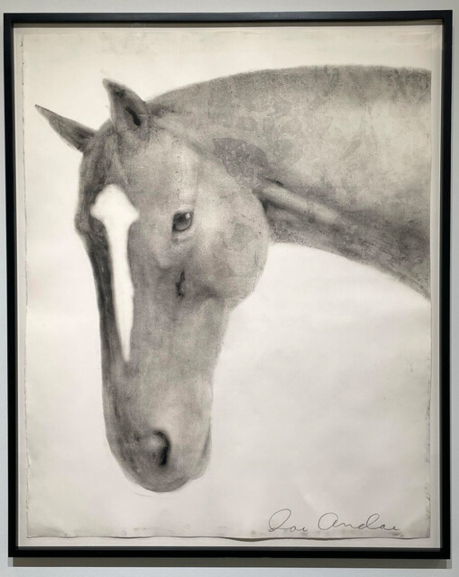 Untitled (Horse head)