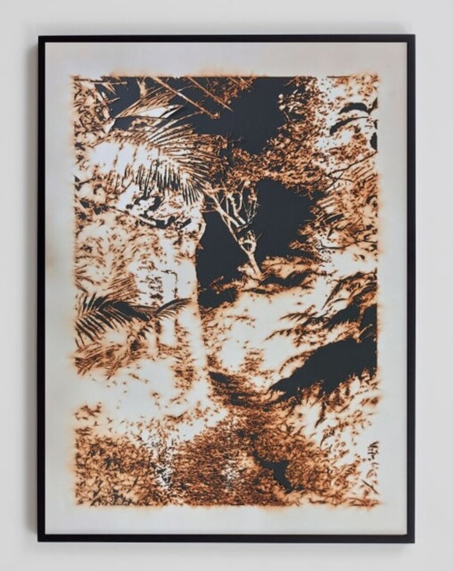 Puerto Rico(Burned) 2