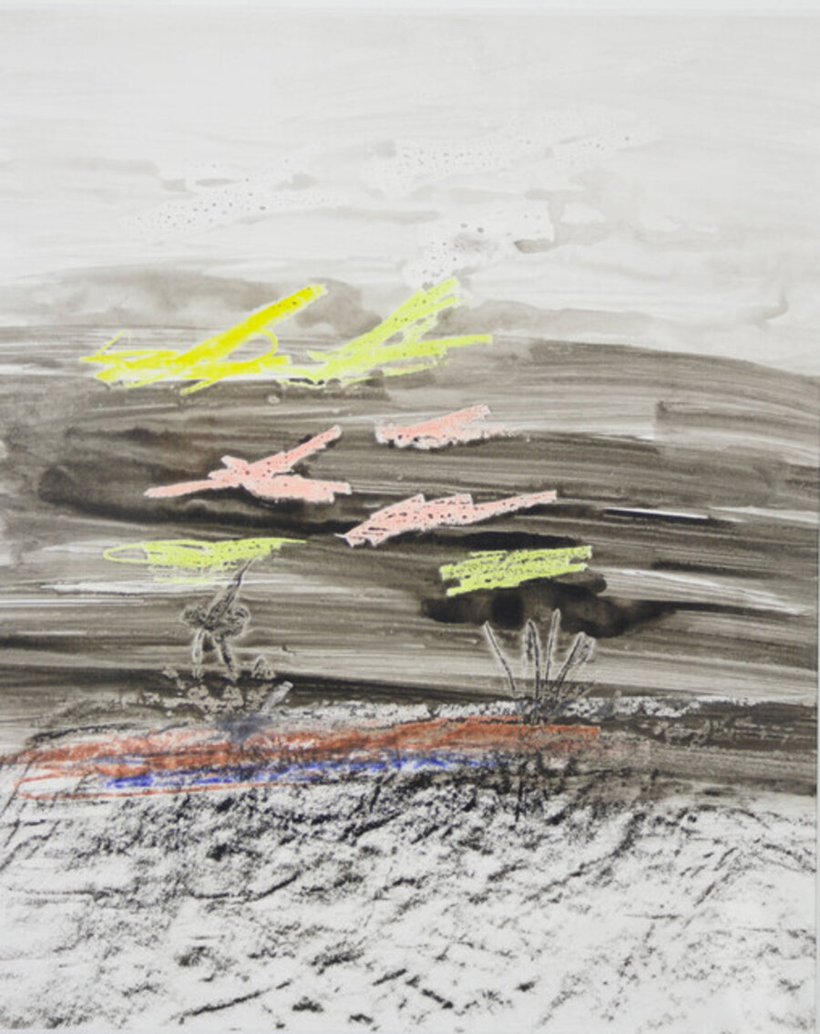 Birds and Landscape