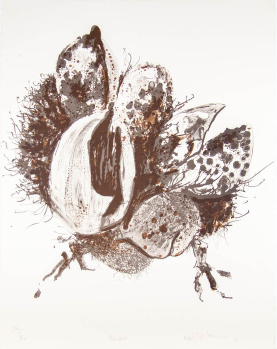 The Seed