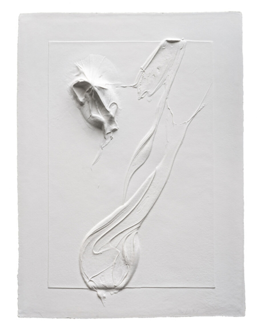 Untitled White
