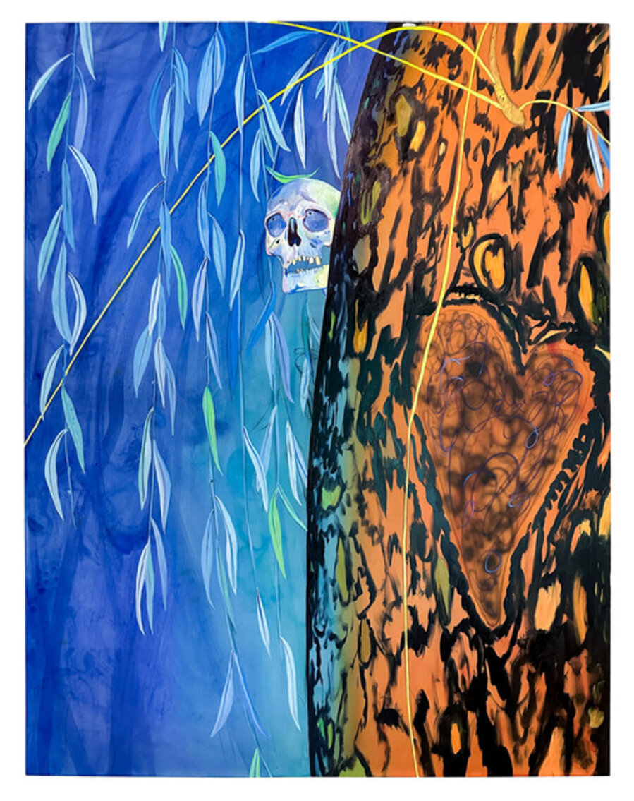 Behind the Weeping Willow (Looking at an Owl)