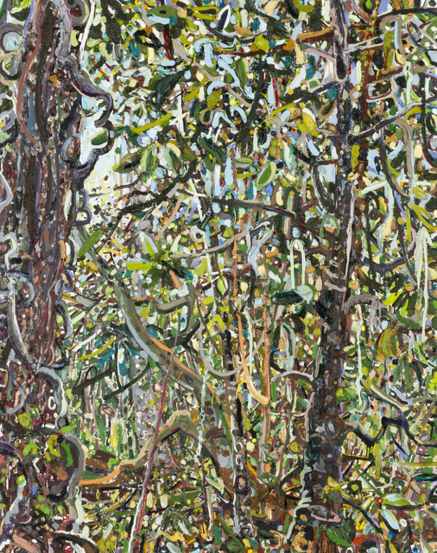 Hyperbolic Nature: North Florida Woods