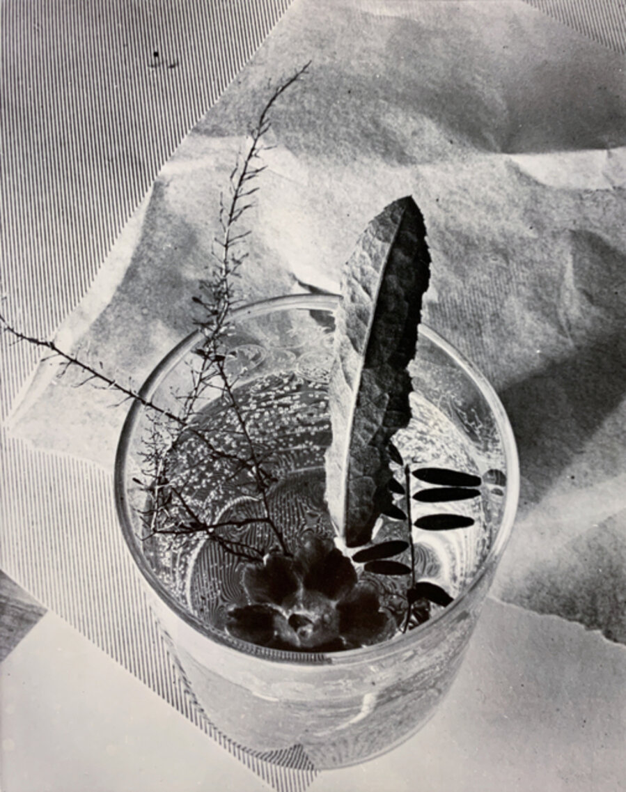 Glass With Leaf