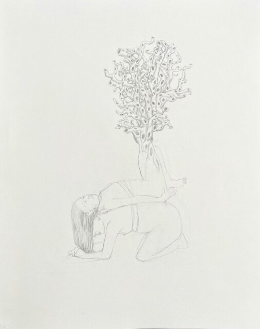 Untitled 4