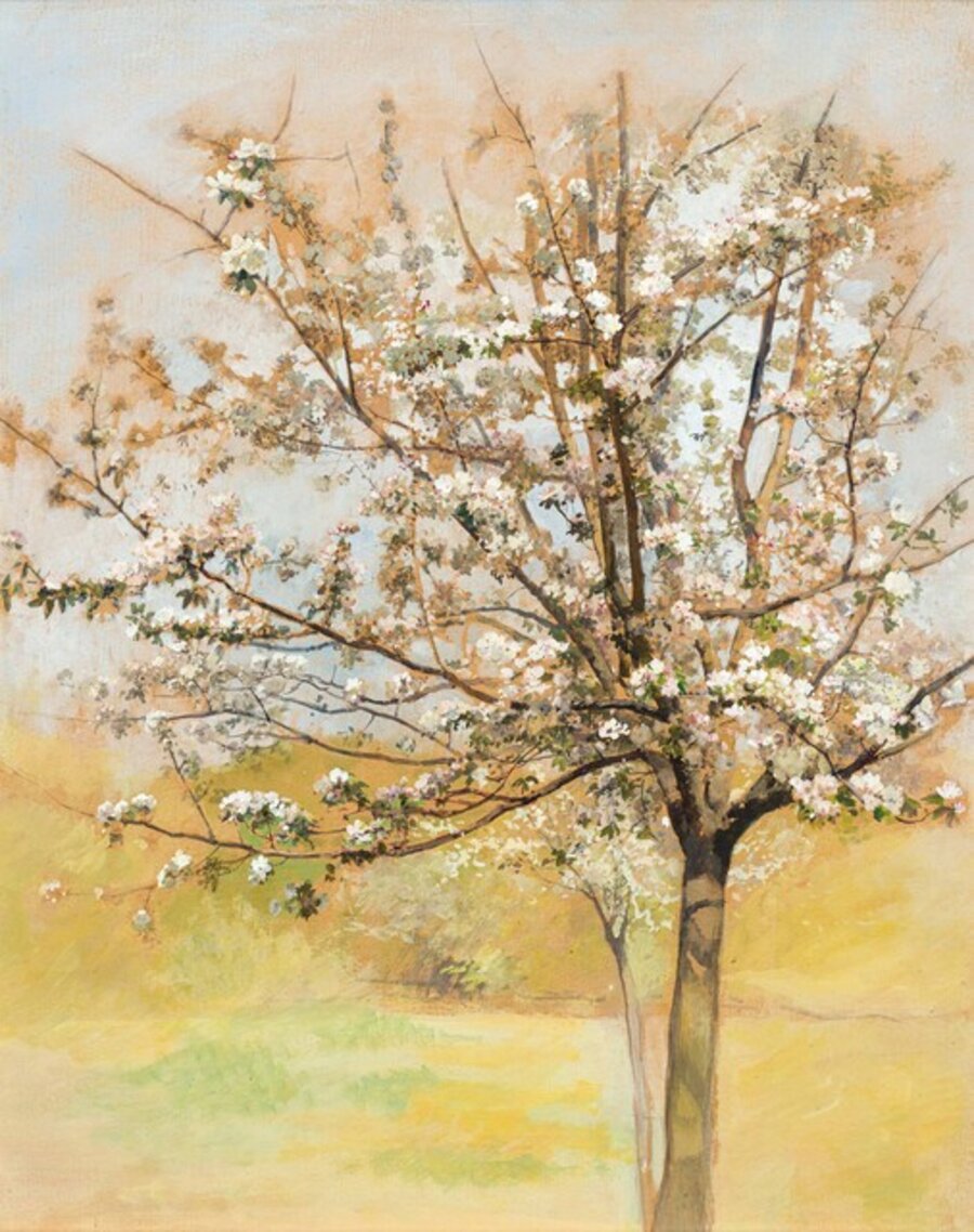 Blühender Baum