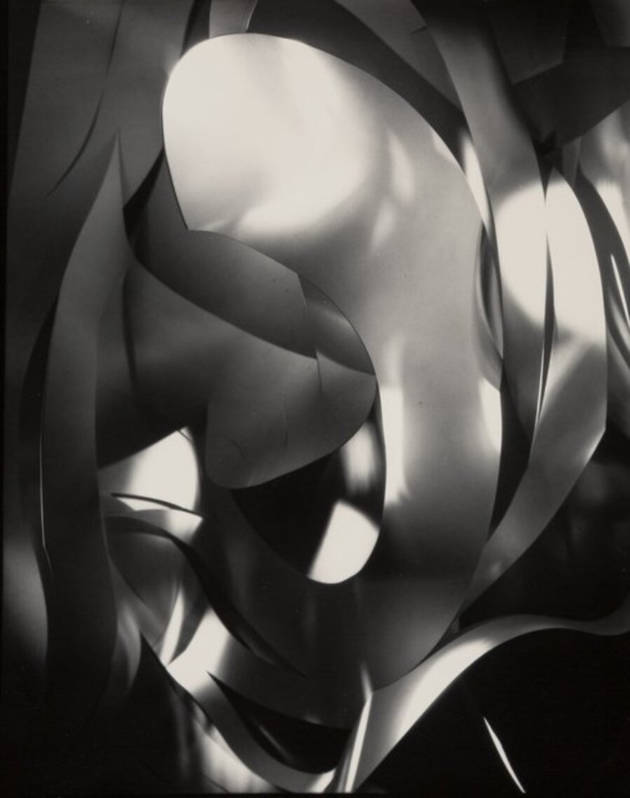 Cut Paper Abstraction