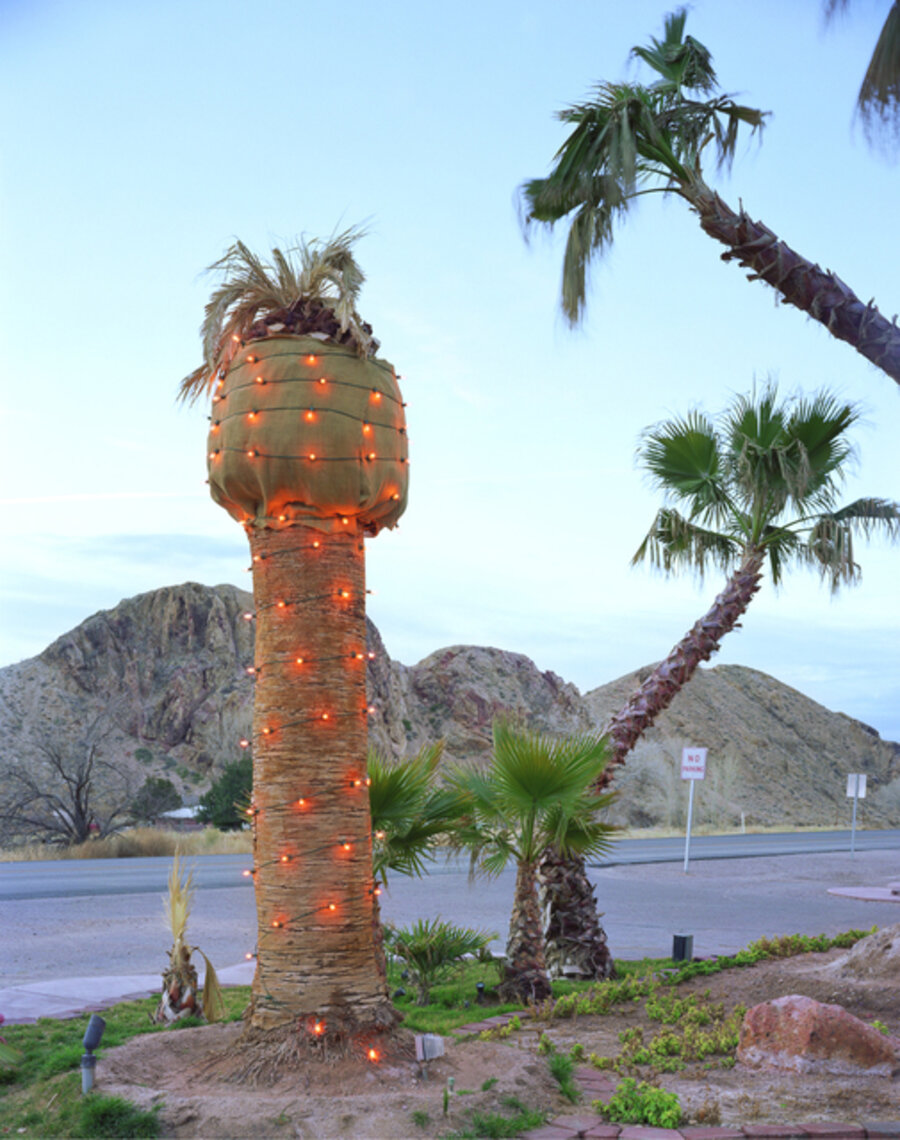 Palm