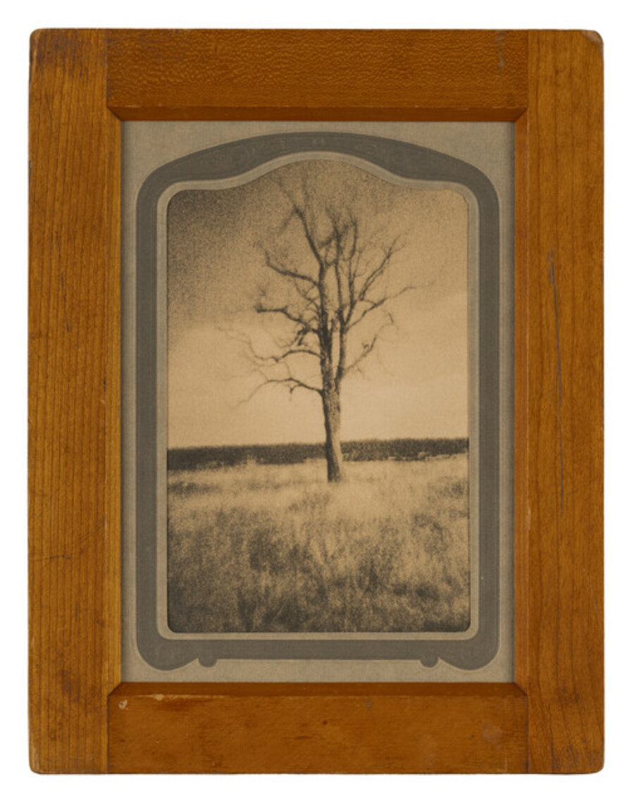 Lone Tree, New Mexico