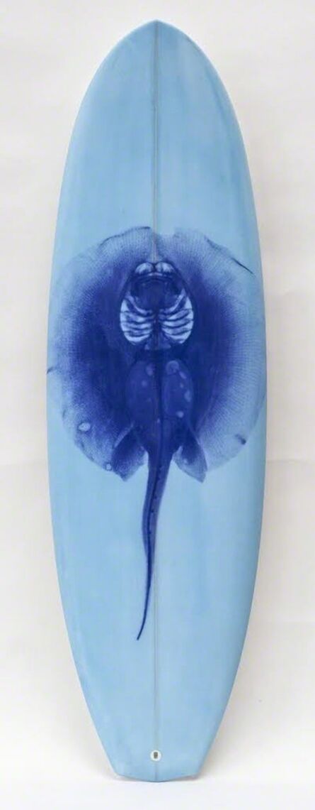 Steve Miller, ‘Surfboards, Ray (P-on-Blue) 2014’, 2014