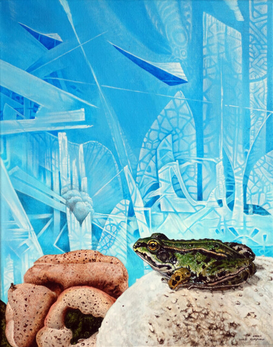 European Pond Frog