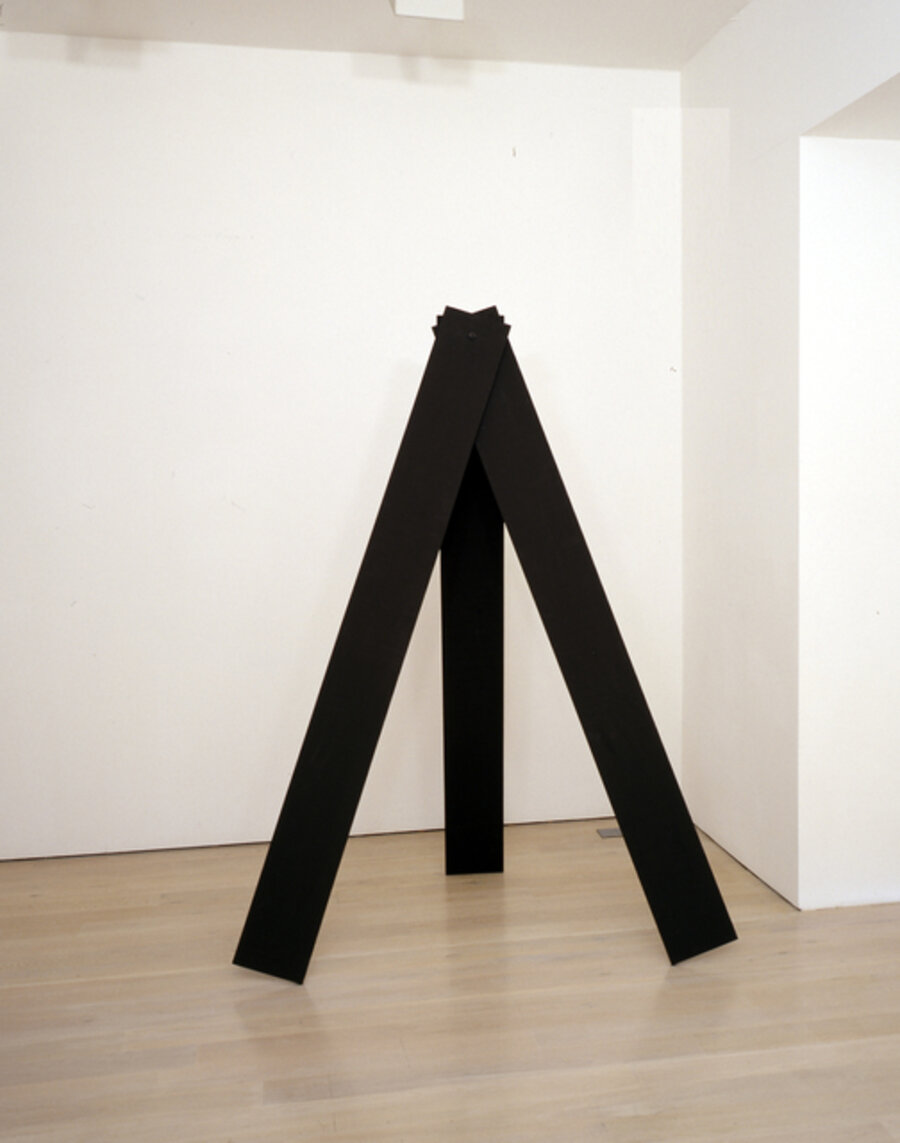 Disproportion 13