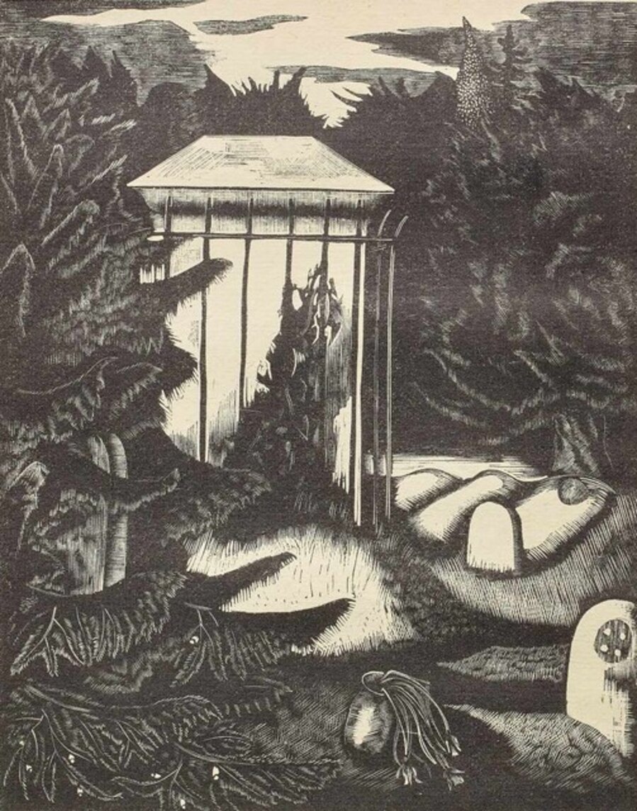 Yew, from 'Poisonous Plants'