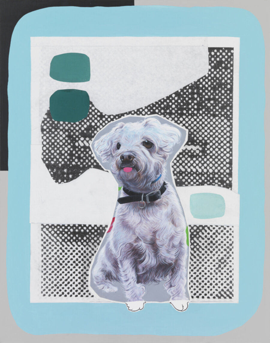 Poodle Mix