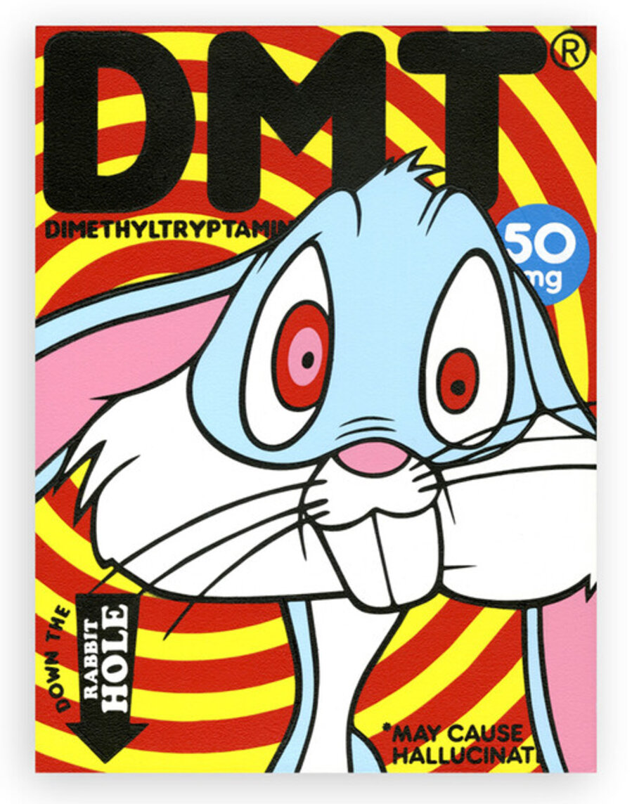 Bugs on DMT