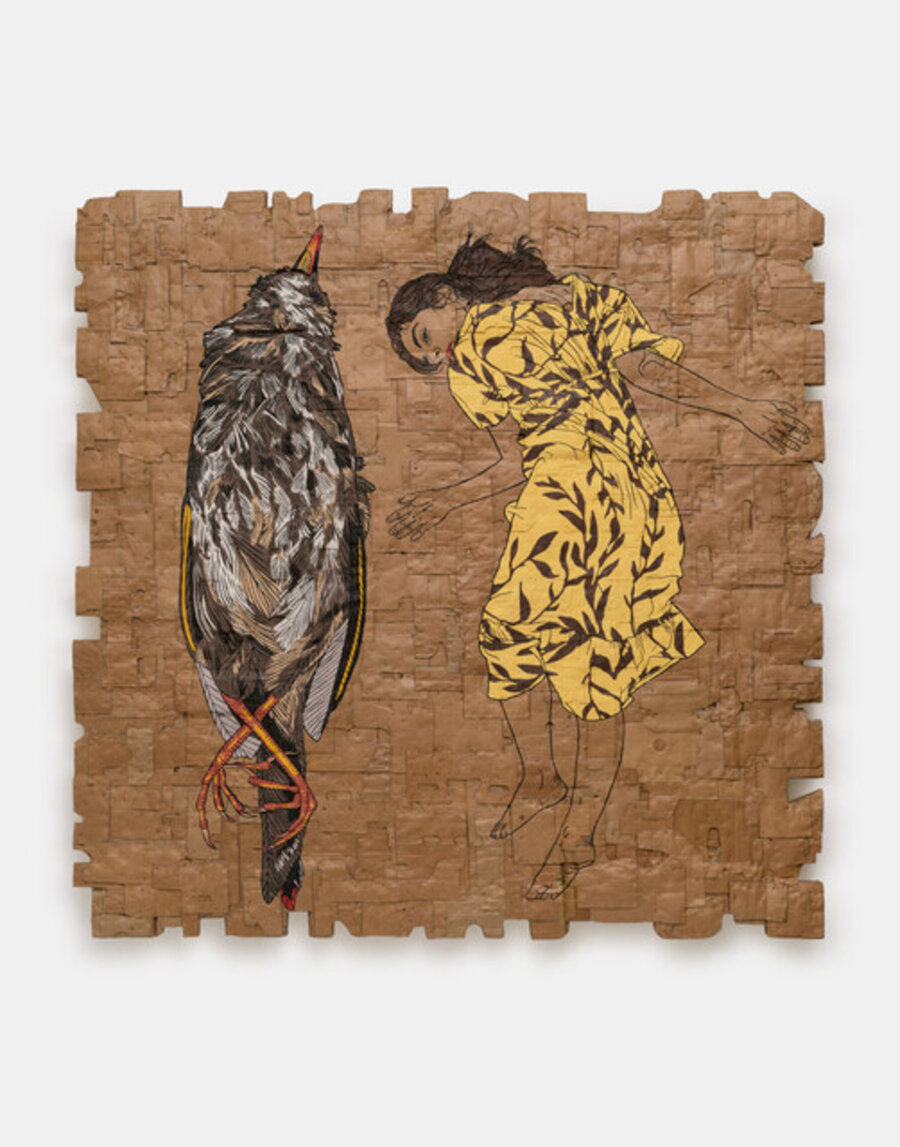 Eco Grief Extinction Series (Bird: Dusky Seaside Sparrow, Declared Extinct December 1990, National Museum of Natural History, Washington, D.C., USA)