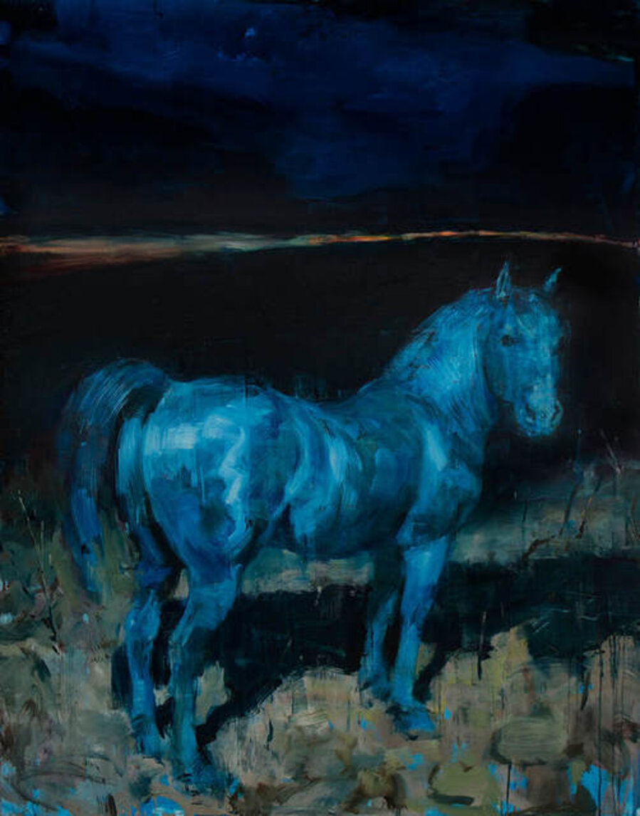 Equus No. 16
