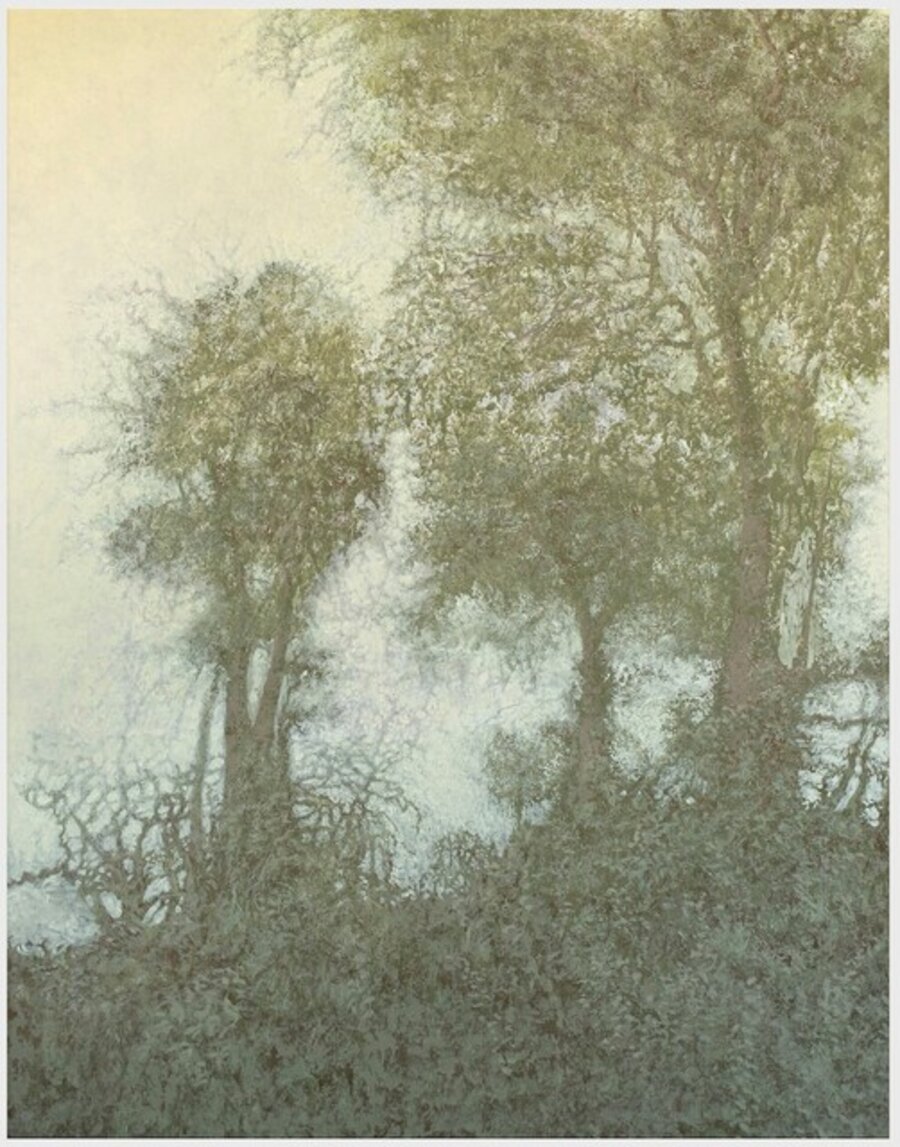 Panfora