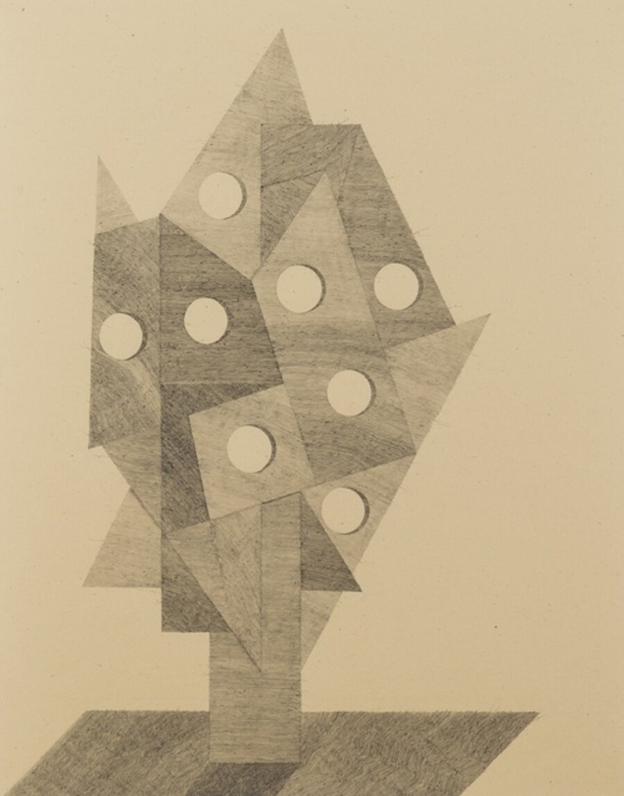 Head 13