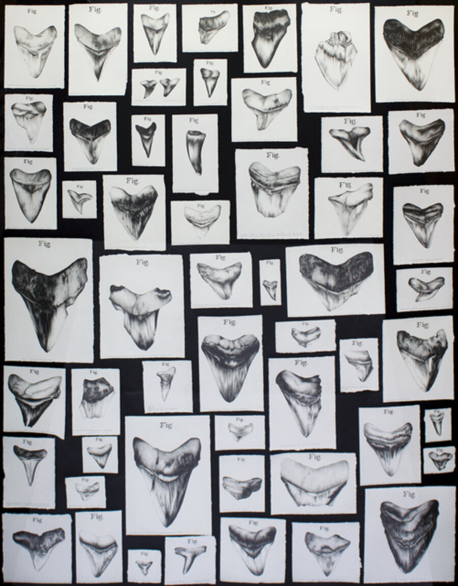 From the exhibition Some of My Equals