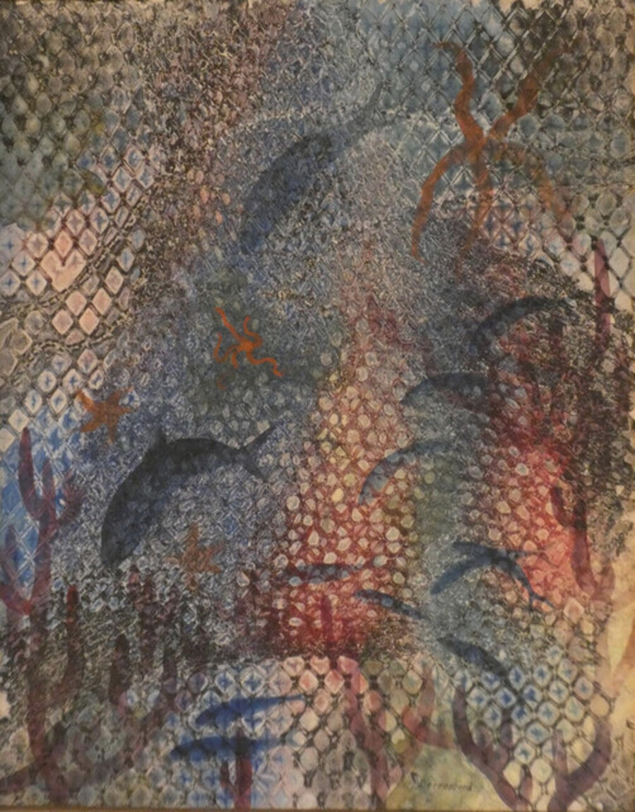 Fish and Nets