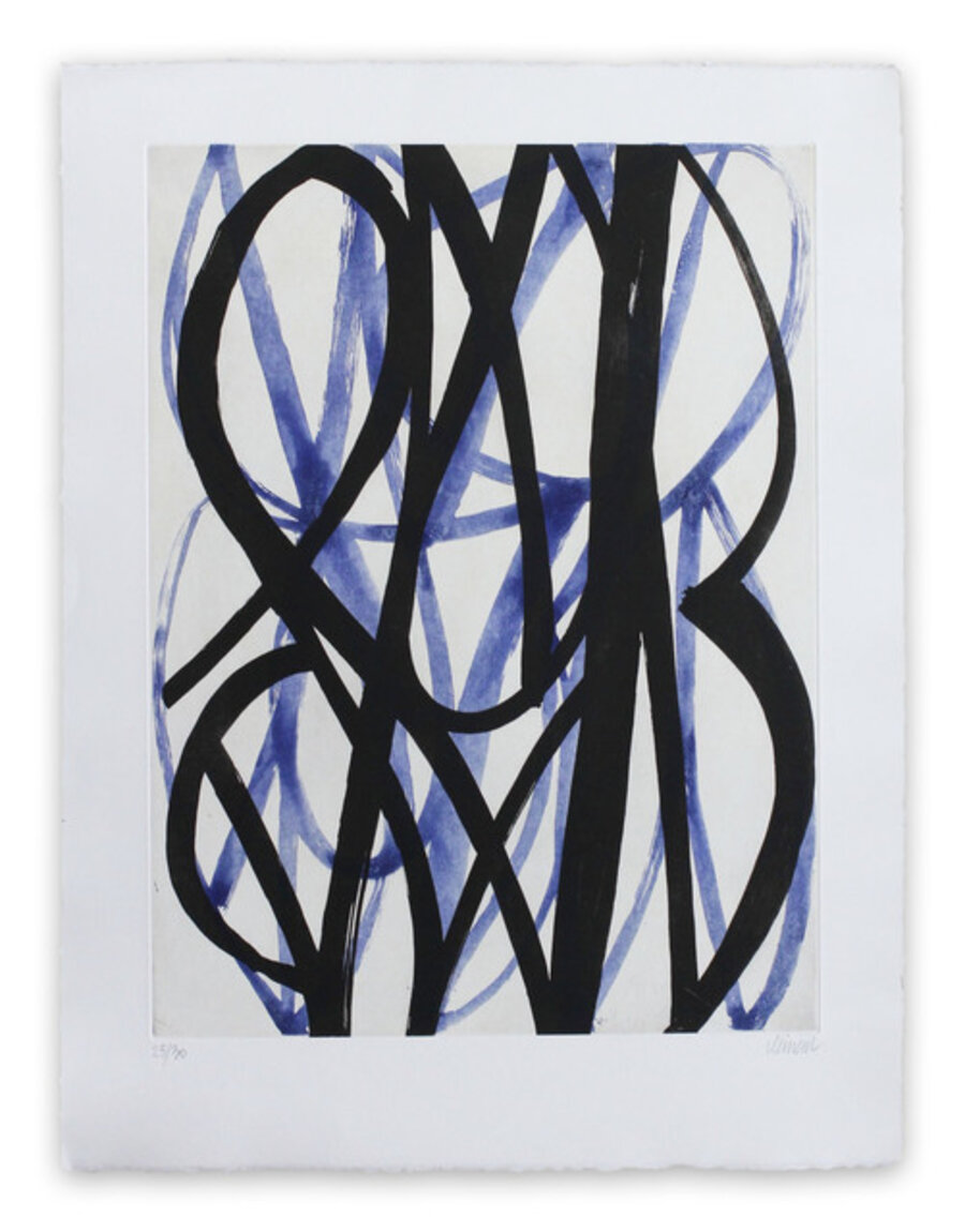 13F6G-2013 (Abstract print)