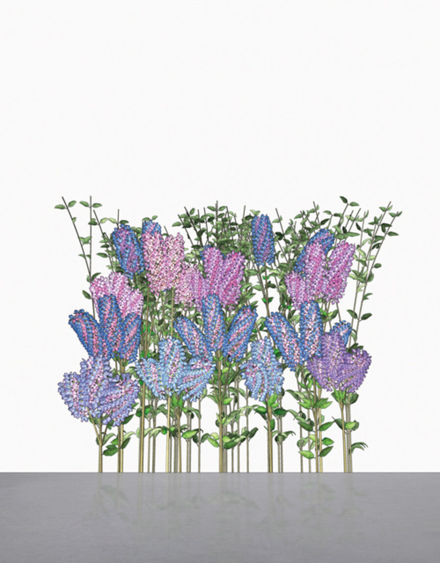 Hurdy Gurdy Man (Lilac)