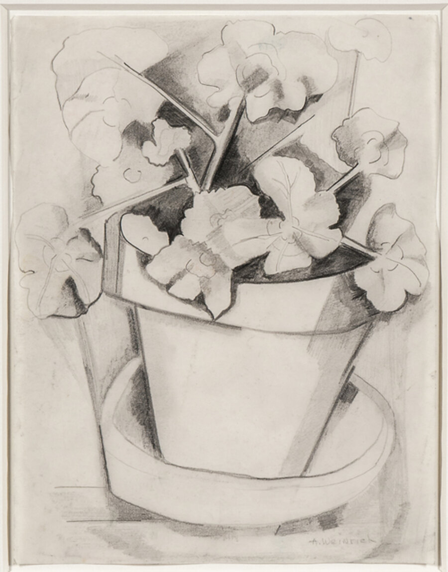 Geranium