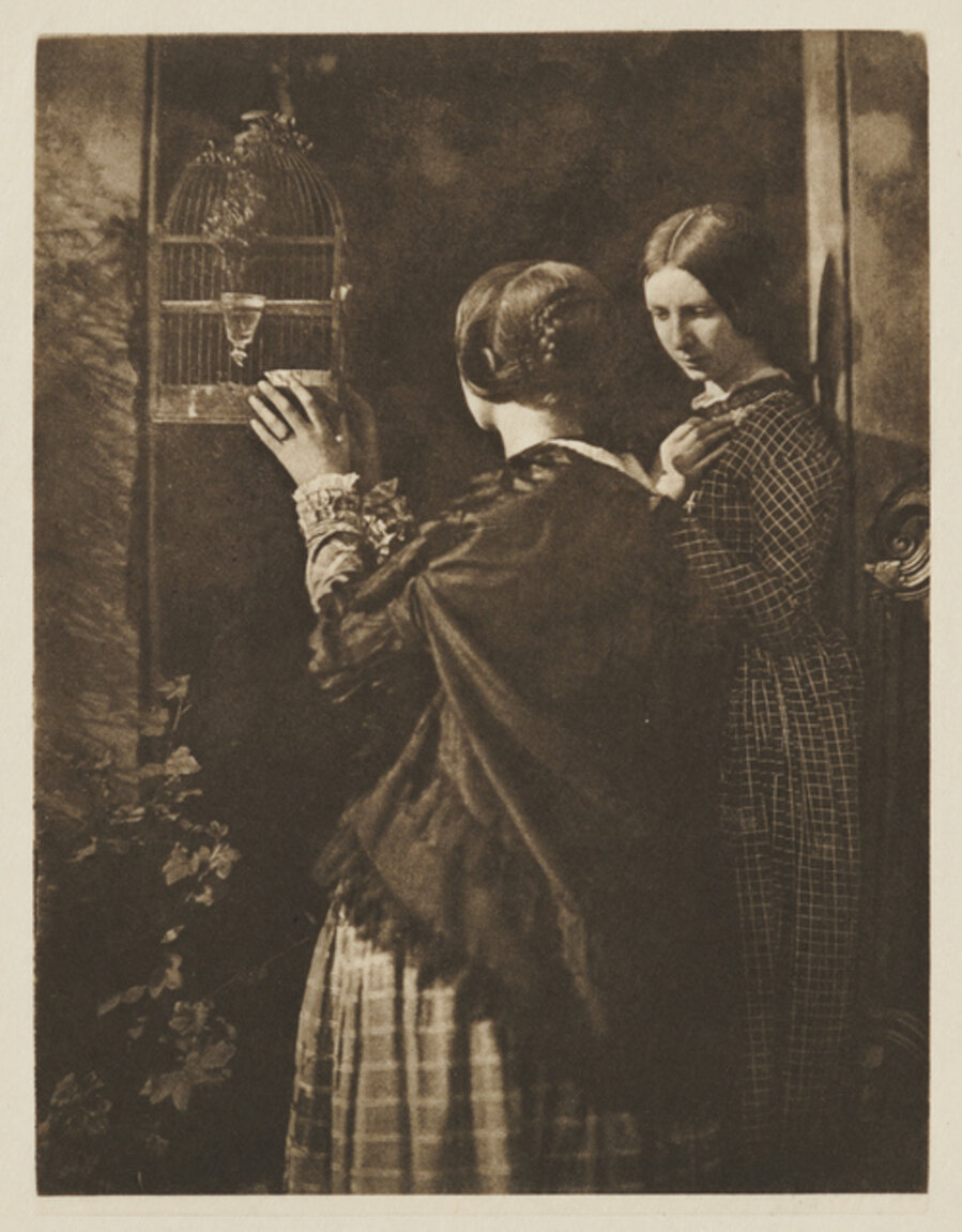 The Bird Cage