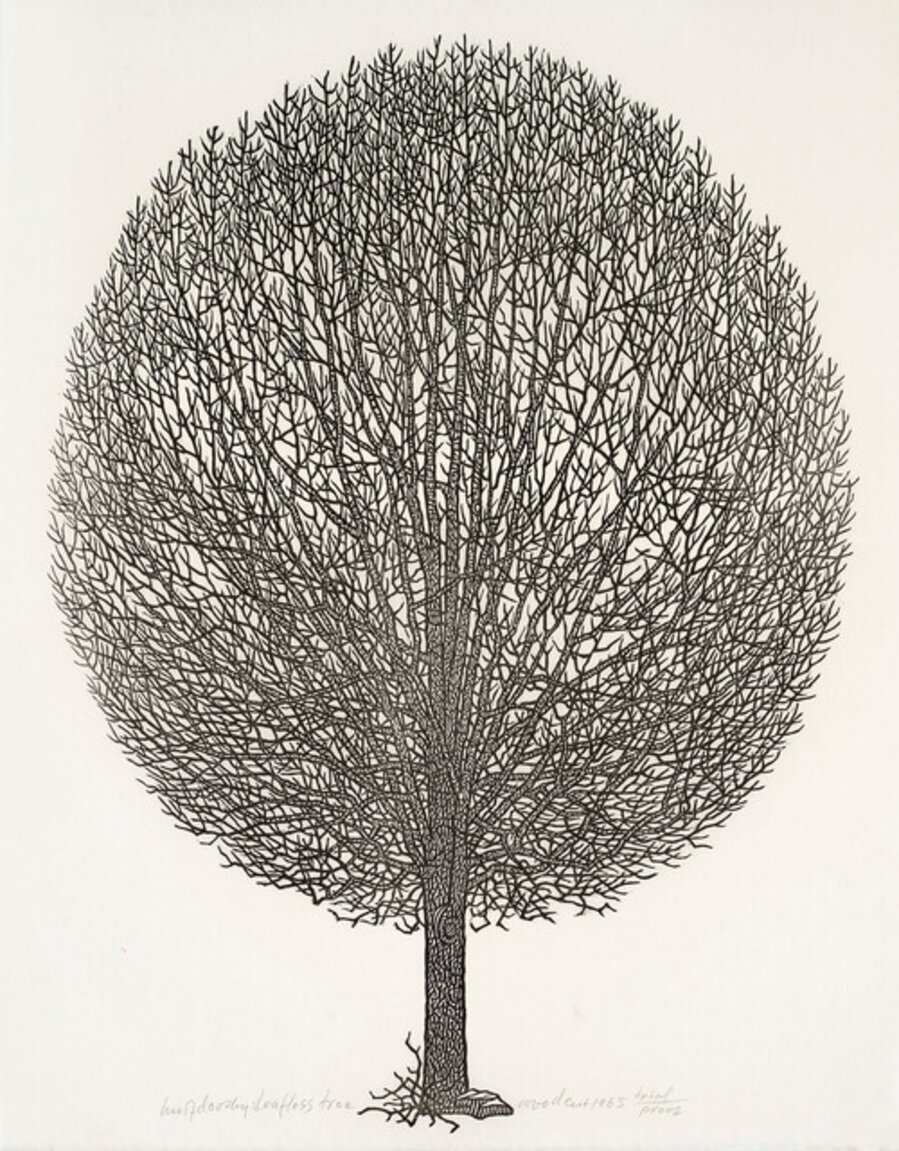 Leafless Tree