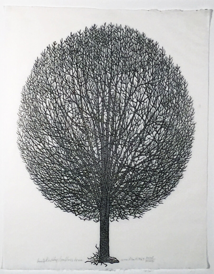 LEAFLESS TREE