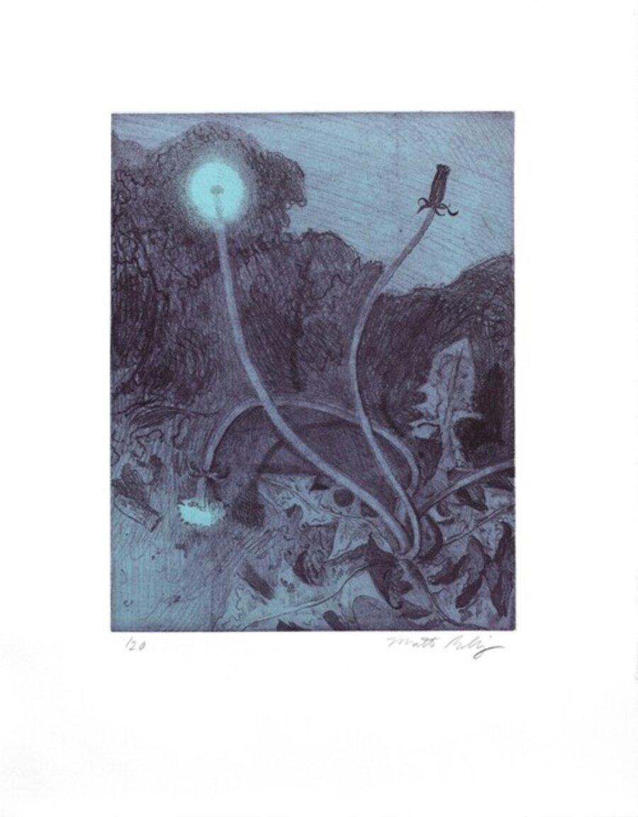 Seed