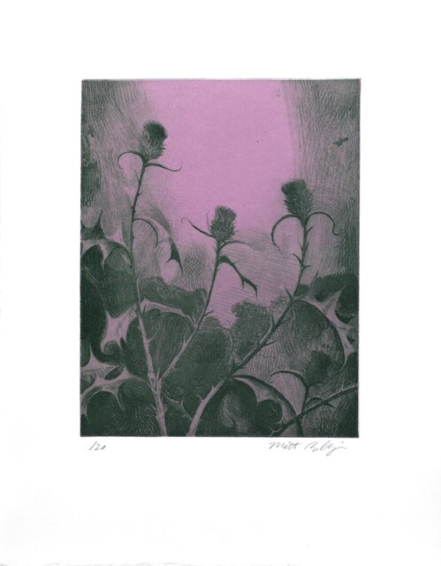 Dusk Thistle