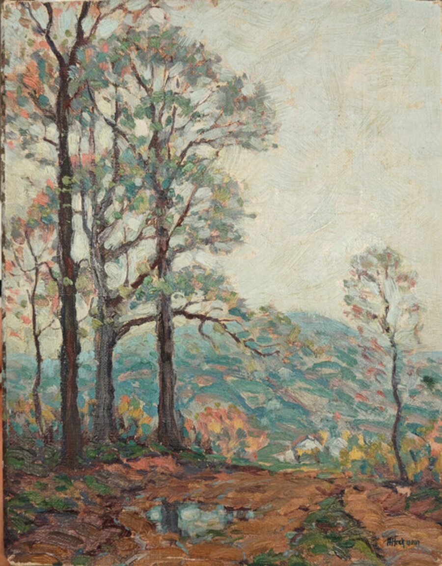 Woodstock Landscape