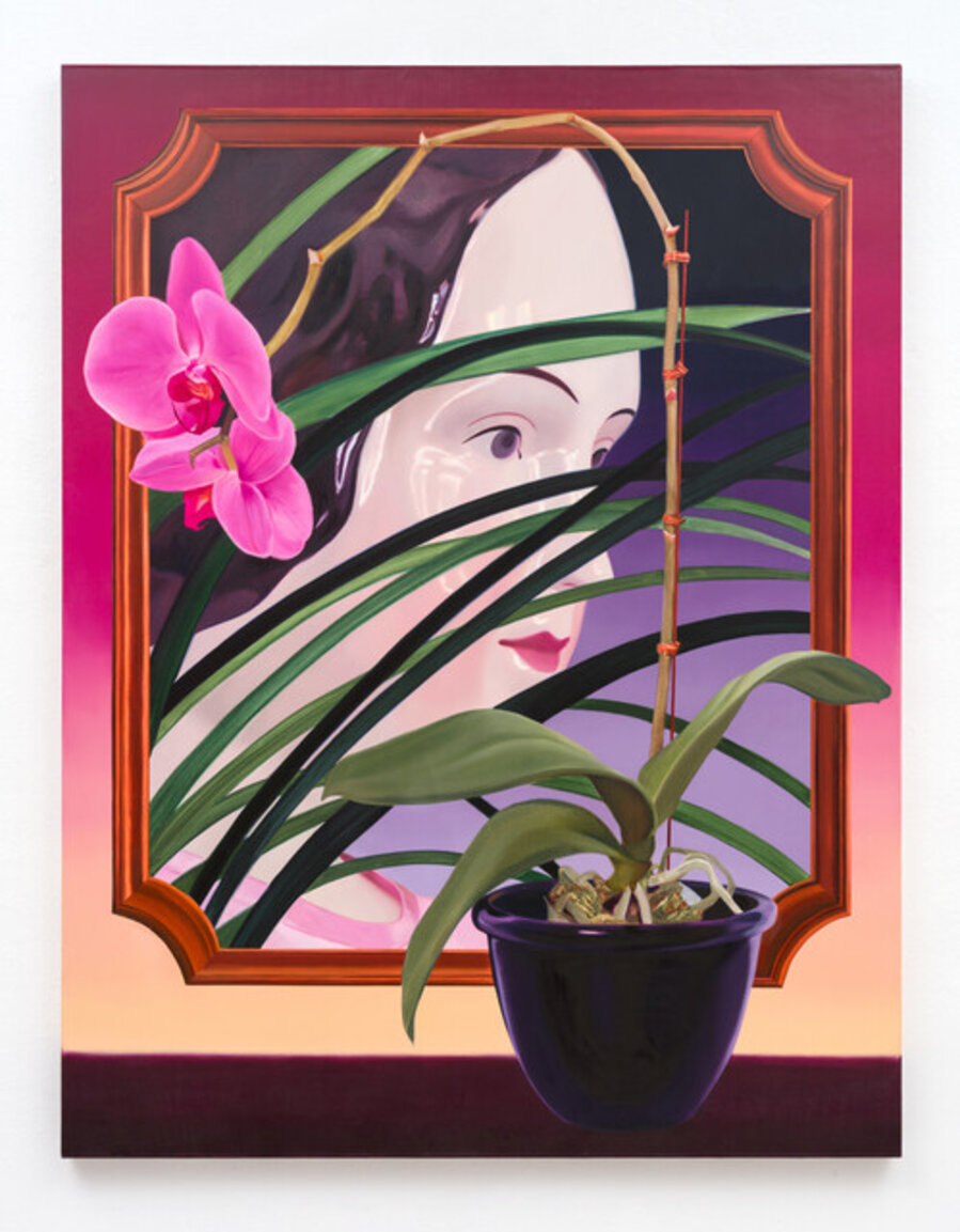Following the Curves of Orchids