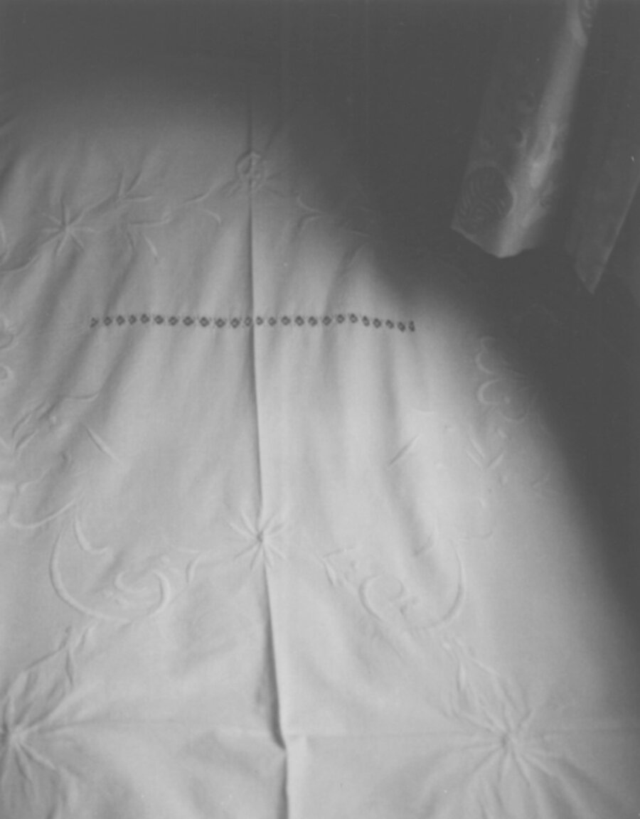 Virginia Woolf's Bed I, Monk's House