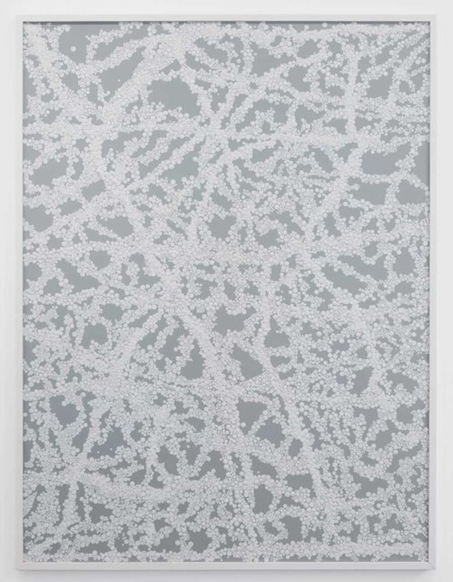 White Noise