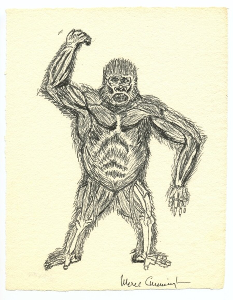 Untitled (Gorilla)