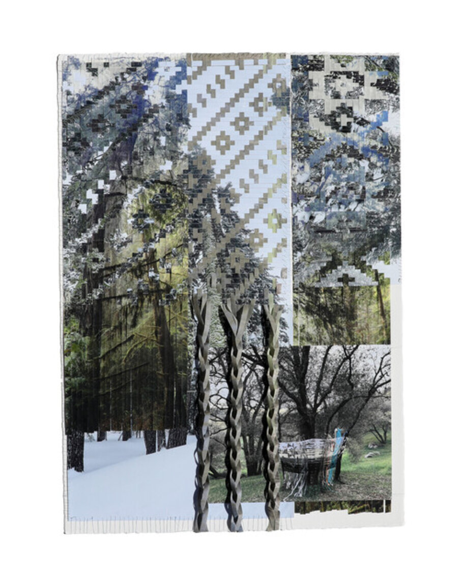 Tree Weaving 12