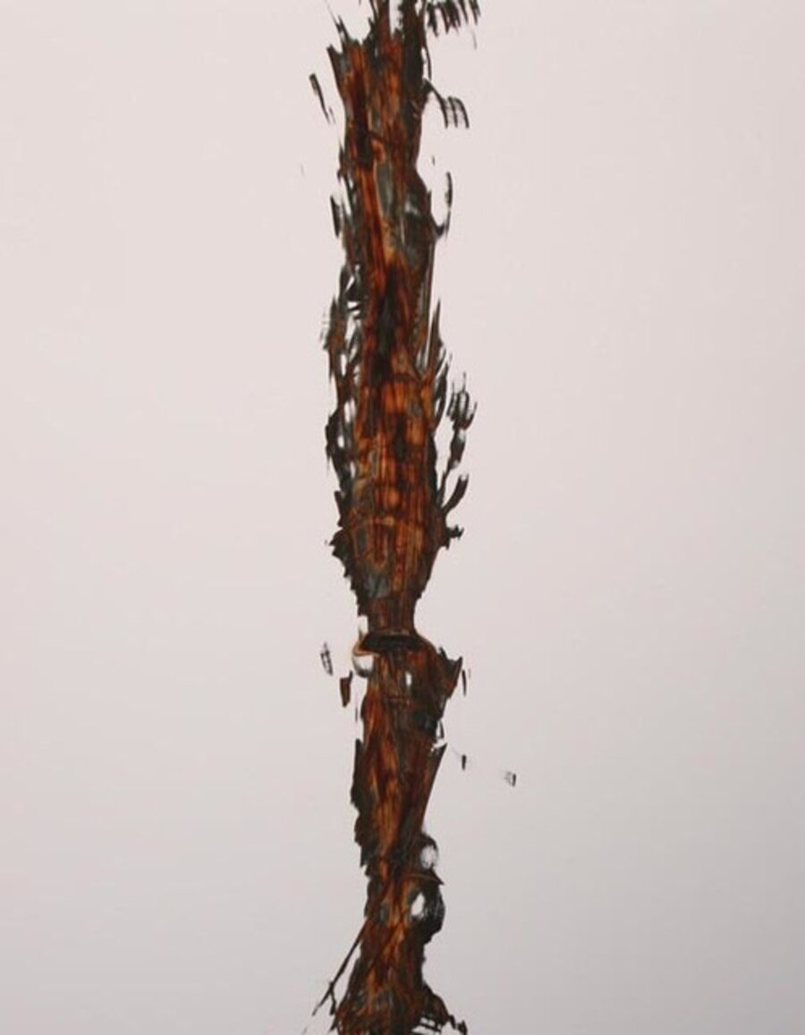 Untitled (Study for Tremors), A