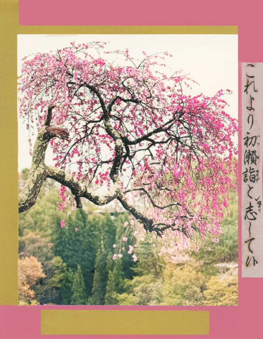 Cherry Tree, from Japonisme: Fireworks and Cherry Blossoms