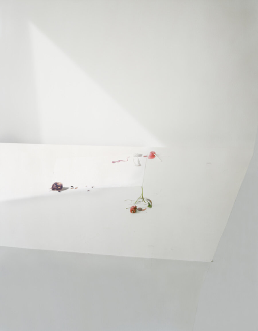 Untitled #21, from the series "Ill Form & Void Full"