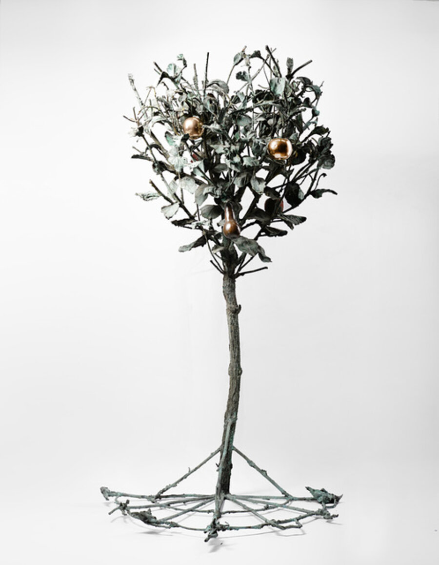 Mezzo albero con mele e pera