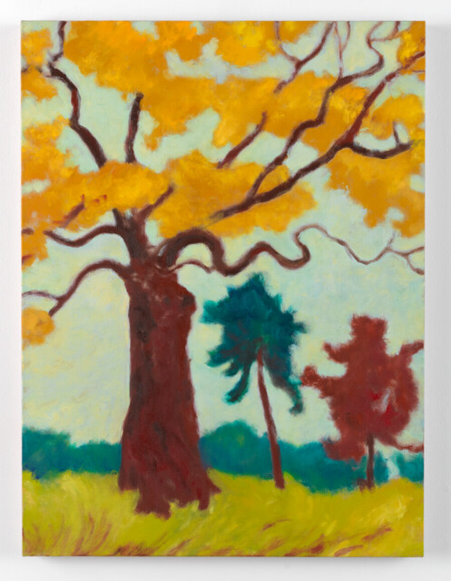 Golden Oak